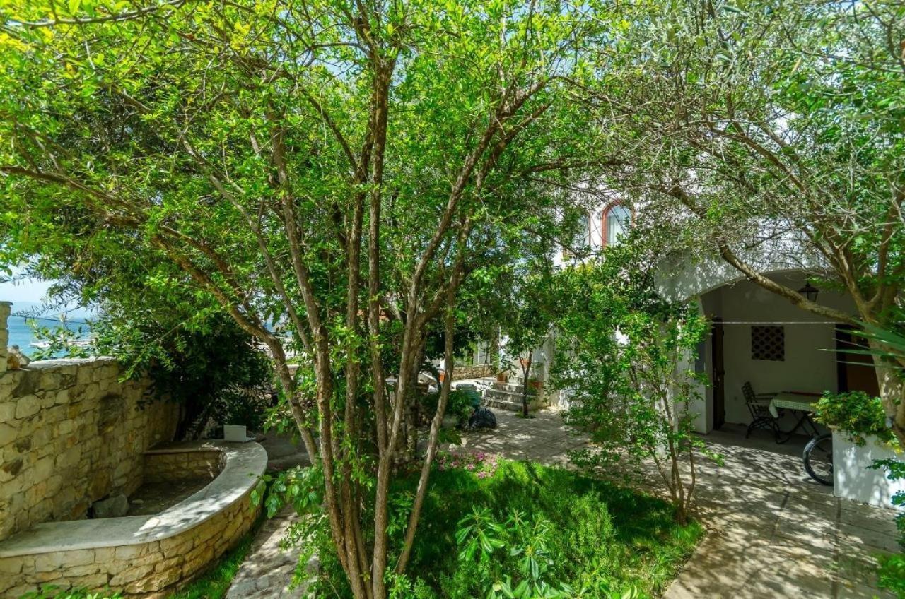 Apartments Doria - 20M From Beach 特罗吉尔 外观 照片