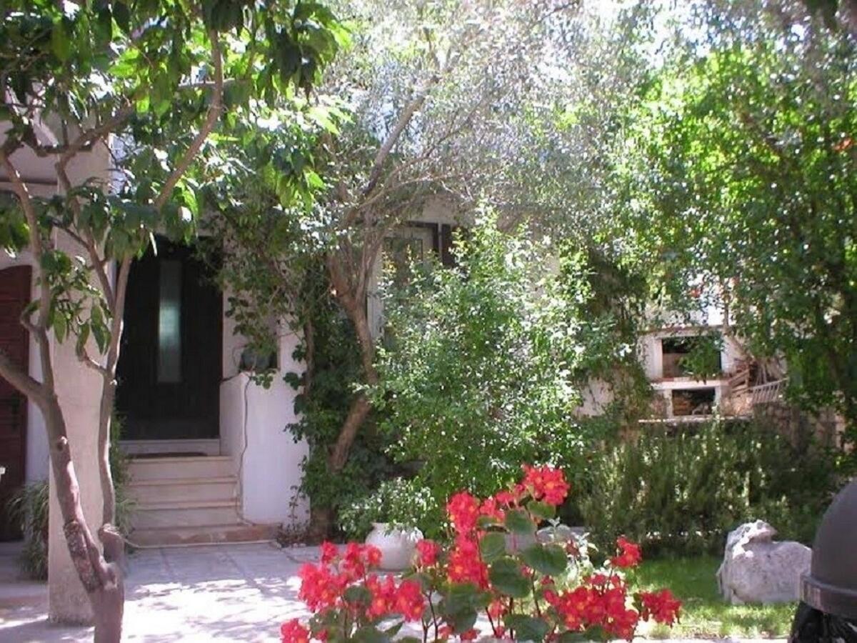 Apartments Doria - 20M From Beach 特罗吉尔 外观 照片